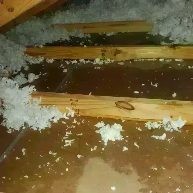 Attic Water Damage in Blue Mound, IL