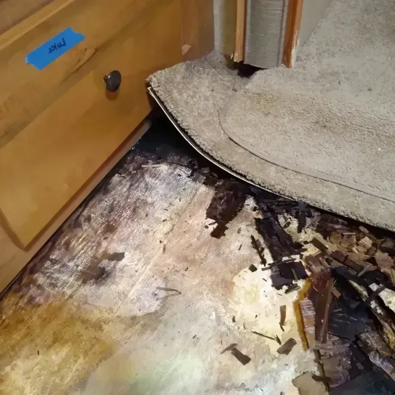 Wood Floor Water Damage in Blue Mound, IL